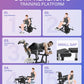 HVO Beinstrecker & Beinbeuger Maschine - Professionelles Beintrainingsgerät für Zuhause