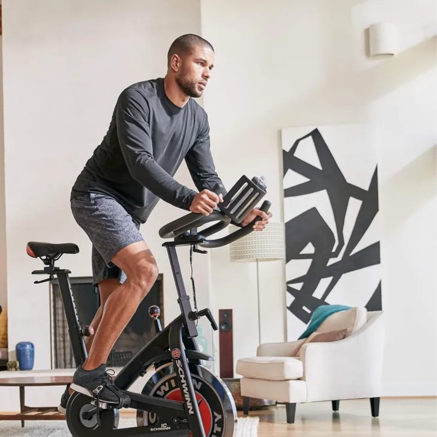 Schwinn Fitness 700IC Indoor Cycle Bike - Quiet Belt Drive